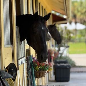 Meet your Posher, Kari